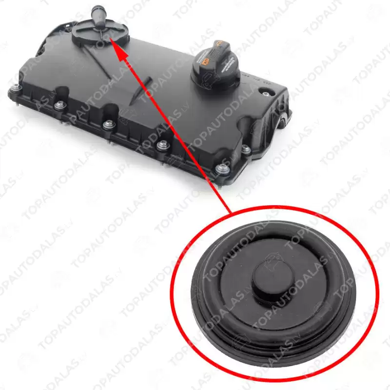 VW AUDI SEAT SKODA FORD 1.9 TDI 2.0 TDI Cilindru galvas vāks vārstu vāks membrāna 038103469AE 038103469M 038103469S 038103469AJ 038103469R 038103469T VW AUDI SEAT SKODA FORD 1.9 TDI 2.0 TDI Cilindru galvas vāks vārstu vāks membrāna 038103469AE 038103469M 038103469S 038103469AJ 038103469R 038103469T