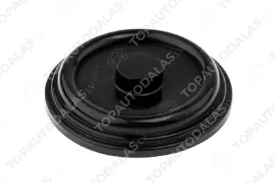 VW AUDI SEAT SKODA FORD 1.9 TDI 2.0 TDI VW AUDI SEAT SKODA FORD 1.9 TDI 2.0 TDI