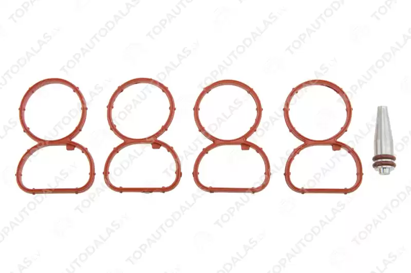BMW 1 3 5 X1 X3 E81 E82 E87 E88 E90 E91 E92 E60 E61 E83 E84 Ieplūdes kolektors blīve 1.8D 2.0D 2.3D N47 N47S 11617801438 11618507239 8507239 BMW 1 3 5 X1 X3 E81 E82 E87 E88 E90 E91 E92 E60 E61 E83 E84 Ieplūdes kolektors blīve 1.8D 2.0D 2.3D N47 N47S 11617801438 11618507239 8507239