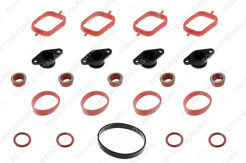 BMW 1 3 5 X3 E46 E60 E61 E81 E82 E83 E87 E88 E90 E91 E92 -2005 Ieplūdes kolektors blīve korķi 22mm M47 M47N M47N2 11617790198 11612246945 BMW 1 3 5 X3 E46 E60 E61 E81 E82 E83 E87 E88 E90 E91 E92 -2005 Ieplūdes kolektors blīve korķi 22mm M47 M47N M47N2 11617790198 11612246945
