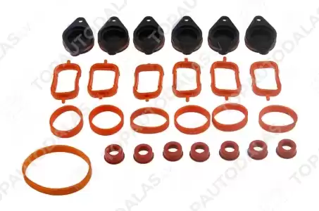 BMW 3 5 X3 X5 X6 E60 E61 E63 E90 E91 E92 E93 E53 E83 E70 E71 Ieplūdes kolektors blīve korķi 32mm M57 M57N M57N2 11617790701 7790701 7800585 BMW 3 5 X3 X5 X6 E60 E61 E63 E90 E91 E92 E93 E53 E83 E70 E71 Ieplūdes kolektors blīve korķi 32mm M57 M57N M57N2 11617790701 7790701 7800585