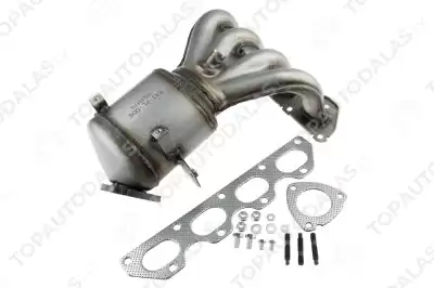 OPEL SIGNUM 2005-2008 OPEL SIGNUM 2005-2008