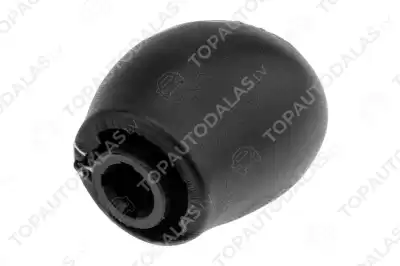 RENAULT CLIO III 2005- 6MTM