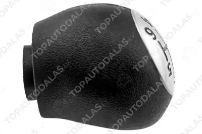 RENAULT SCENIC II III 2003- 6MTM