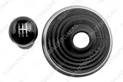 FORD TRANSIT 2000- 5MTM
