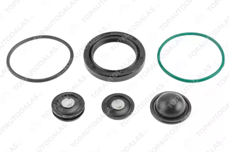 OPEL ASTRA H ZAFIRA B VECTRA C SIGNUM Z22YH Degvielas sūkņa remkomplekts 24465785 93174538 815049 OPEL ASTRA H ZAFIRA B VECTRA C SIGNUM Z22YH Degvielas sūkņa remkomplekts 24465785 93174538 815049